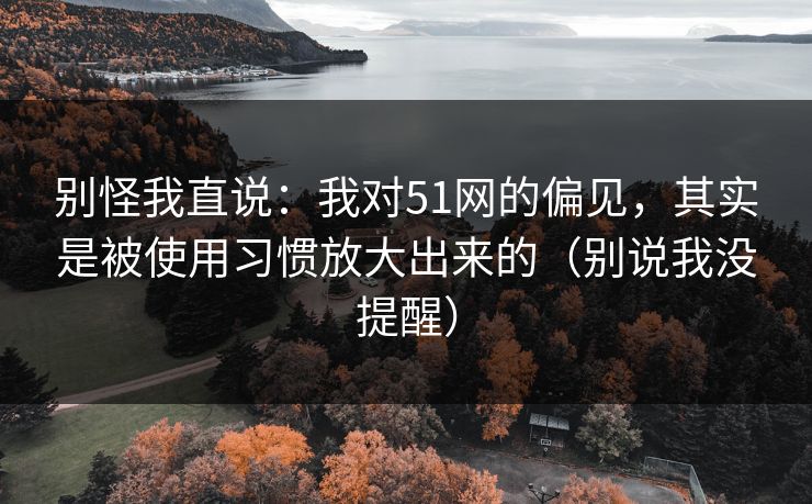 别怪我直说：我对51网的偏见，其实是被使用习惯放大出来的（别说我没提醒）